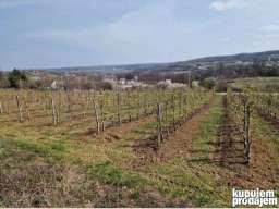 Gradjevinsko zemlji&scaron;te. 48 ari Popović 