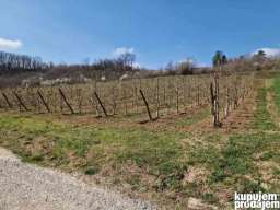 Gradjevinsko zemlji&scaron;te. 48 ari Popović 