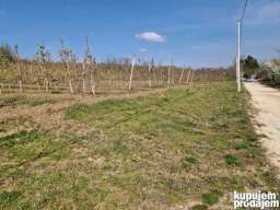 Gradjevinsko zemlji&scaron;te. 48 ari Popović 