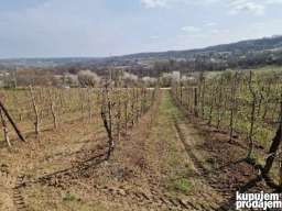 Gradjevinsko zemlji&scaron;te. 48 ari Popović 