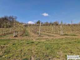 Gradjevinsko zemlji&scaron;te. 48 ari Popović 