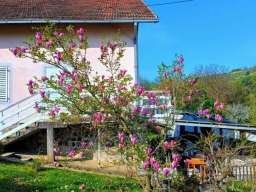 Prodajem kucu na Artiljevu, Sremska Kamenica, Novi Sad