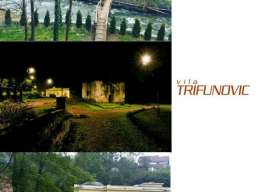 Vila Trifunovic
