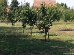 Prodaja placeva