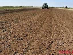 PRODAJEM PLAC ZEMLJISTE