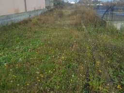 Plac 35 ari-Simanovci