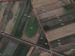 Zemljiste 2.42ha-Karlovcic