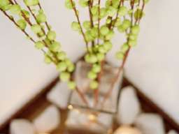 Reiki tretman Stari Grad 