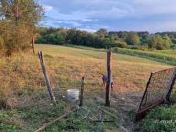 Plac na prodaju Ducina-Sopot