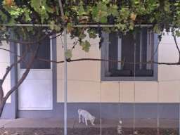 Prodajem seosko domacinstvo