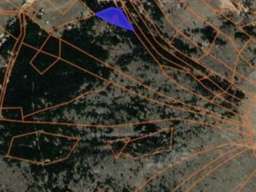 Zlatiborski Dukat-zemljiste,investicija-Čigota