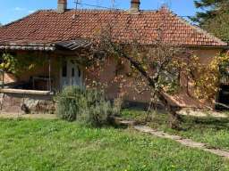 Prodajem dve kuce u Velikim Crljenima