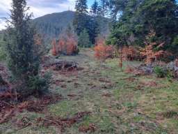 Plac Zlatibor selo Stublo