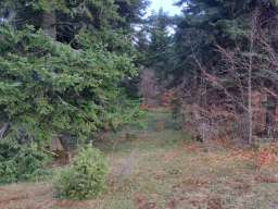 Plac Zlatibor selo Stublo