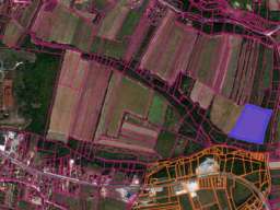 Na prodaju njiva u Topoli/Oplenac 1,5h I šuma 