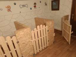 Pansion za pse ˝Fito˝