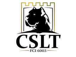 Cane Corso &scaron;tenci