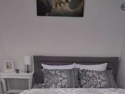 Dvosoban Apartman Knez i Djura Beograd Centar