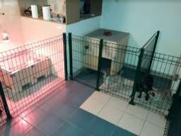 Francuski buldog stenci