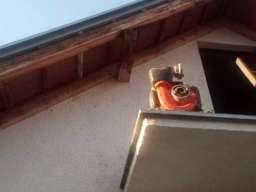 Tomos motor za zalivanje