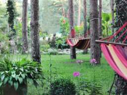 Vila Dunavski Raj - Vinci (Golubac)