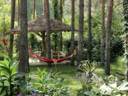 Vila Dunavski Raj - Vinci (Golubac)