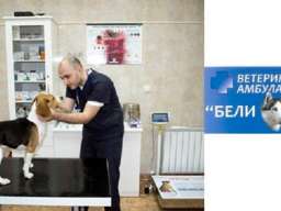 Veterinarska ambulanta Vojvode stepe