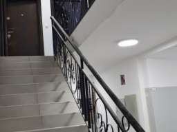 Cvetanova Cuprija, dvoiposoban-uknjizen