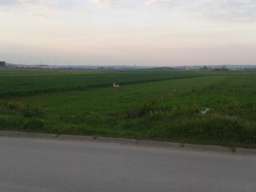 Plac u Jagodini (industrijska zona)