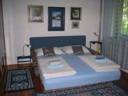 Prodajem vilu u Soko Banji