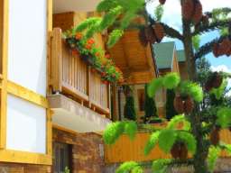 VILLA NATURAL WOOD ZLATIBOR Apartman sa 1 spavaćom sobom 