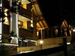 VILLA NATURAL WOOD ZLATIBOR Apartman sa 1 spavaćom sobom 