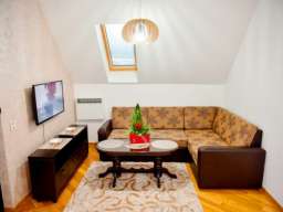 APARTMAN ALEKSANDAR LUX ZLATIBOR