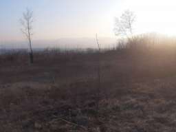 Plac u Konjevicima 36ari