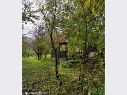 Prodaja vikendice sa letnjikovcem-Fruska Gora