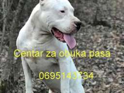 Centar za obuka pasa