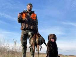 Labrador retriver, vrhunski čokoladni &scaron;tenci 