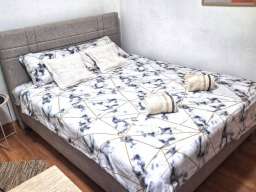 Studio Apartman City Nest Beograd Vracar