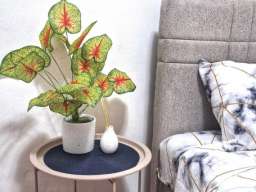 Studio Apartman City Nest Beograd Vracar