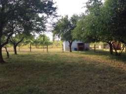 Prodajem kucu sa velikim placem-Obrež