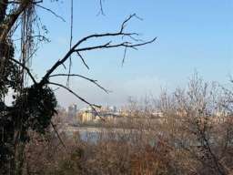 Prelep plac Ribnjak-Petrovaradin