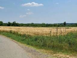 Njiva Barajevo-Veliki Borak