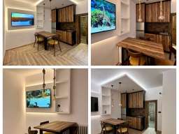 Izdajem dva dvosobna stana-Vojvode Stepe