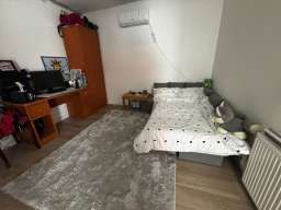 Palilula-Borca 220m2+75m2 na 6.5 ari placa