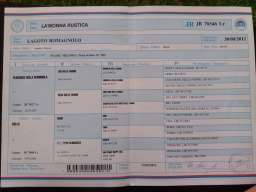 &Scaron;tenad Lagotto Romagnolo