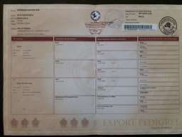 &Scaron;tenad Lagotto Romagnolo