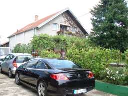 Prodaja kuce-Beograd