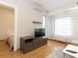 Dvosoban Apartman Bojan Beograd Novi Beograd