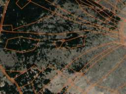 Zlatiborski Dukat-zemljiste,investicija-Čigota