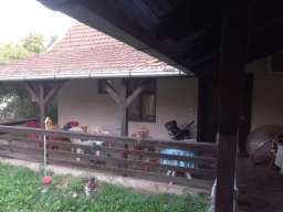 Porodicna kuca u srcu Starog Futoga-Novi Sad